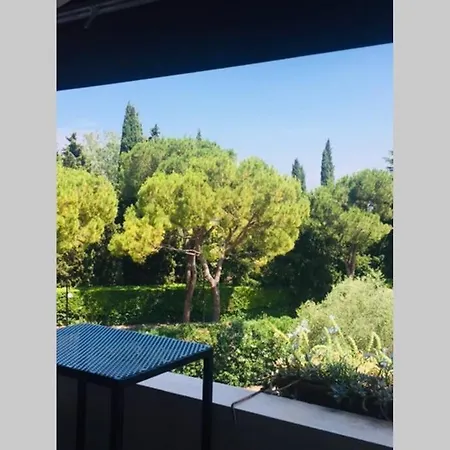 Apartament Prima Classe *